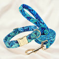 Custom Dog Collar with Personalized Name Tag