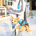 Multifunctional Pet Backpack for Chest and Back