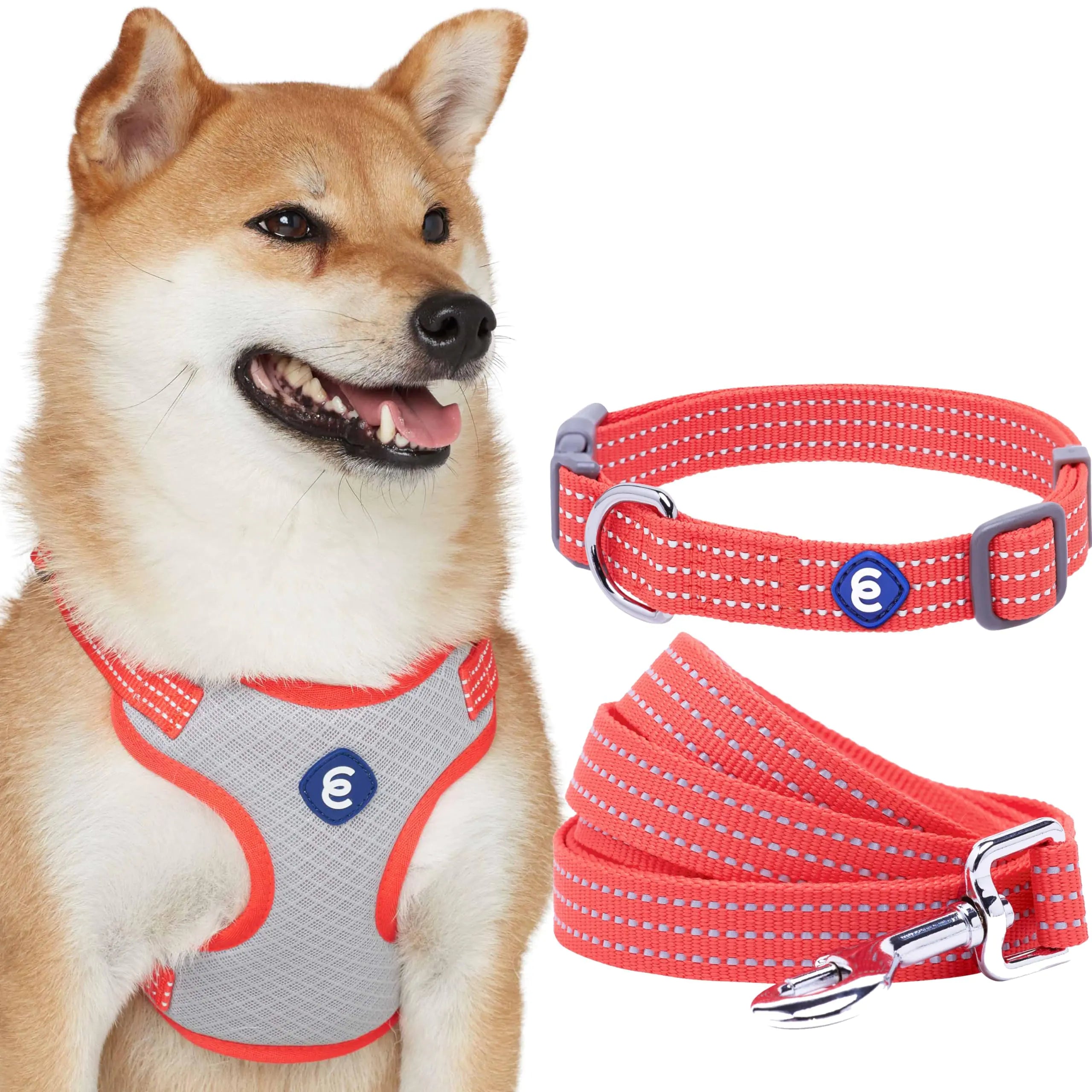 Blueberry Pet Essentials Reflective Dog Collar, Leash & Harness Set – Fiery Red