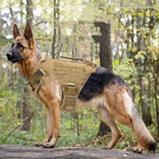 Tactical Dog Chest Strap for Training and Control