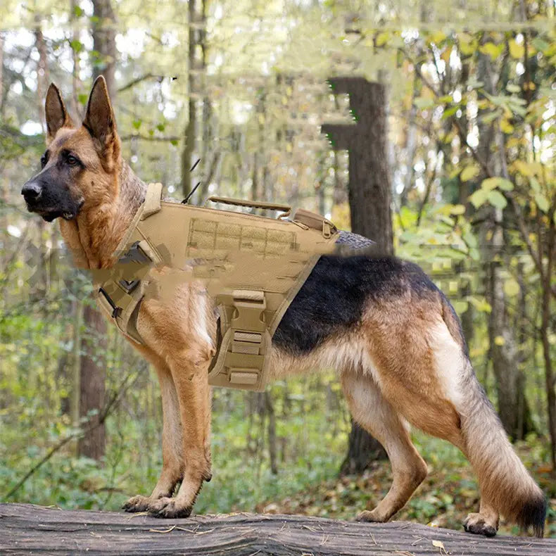 Tactical Dog Chest Strap for Training and Control